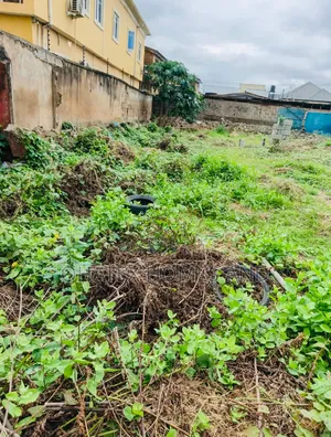 Empty Plot of Land for Sale - Olowora, Lagos
