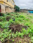 Empty Plot of Land for Sale - Olowora, Lagos - 1