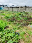 Empty Plot of Land for Sale - Olowora, Lagos - 2