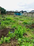 Empty Plot of Land for Sale - Olowora, Lagos - 3