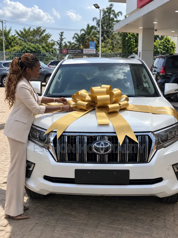 Giant Car Gift Bow Decoration - 1