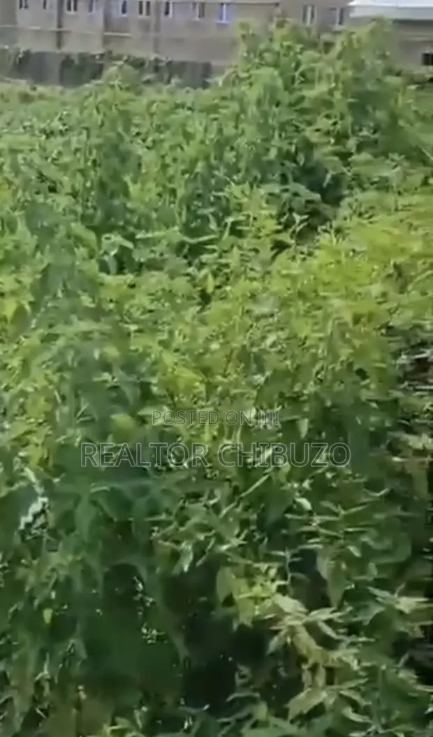 1.28 Hectares Commercial Plot in Wuye for Sale - 1