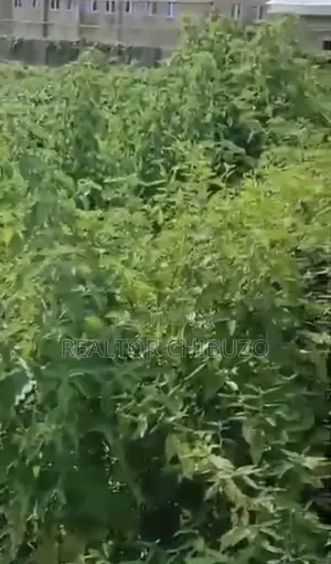 1.28 Hectares Commercial Plot in Wuye for Sale