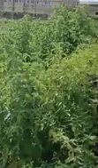 1.28 Hectares Commercial Plot in Wuye for Sale - 1