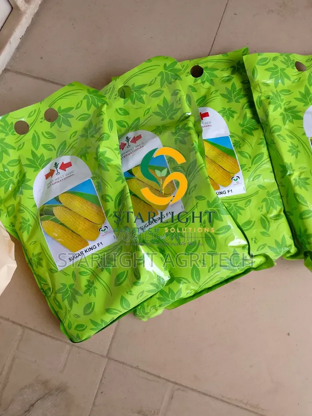 Sugar King F1 Sweet Corn Seeds (1 Kg) - 1