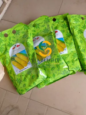 Sugar King F1 Sweet Corn Seeds (1 Kg)