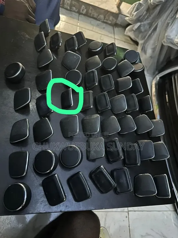 Lexus RX350 Mouse Cover (2010-2018) - 1