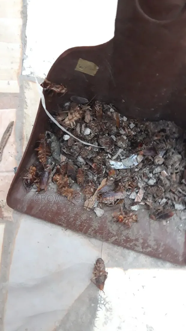 Sabis na Fumigation na Kwararru a Agege & Abule Egba - 1