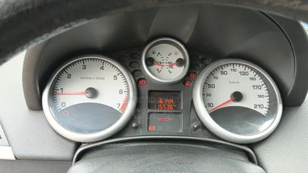 Peugeot 207 2009 Gray - 1
