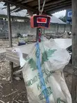 White Turkey - 10.2kg - 3