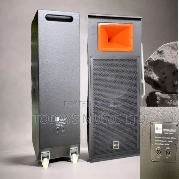 Ariz Sound AS-245 Full Range Speaker - 1