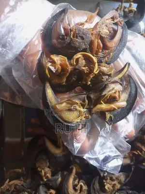 Ruby's Tasty Snails - Kayan Dadi Busassun Teku