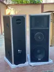 Ariz Sound AS-800z Full Range Speaker - 2