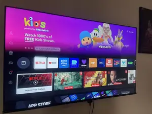 Hisense 55-inch A6 Series Smart TV (3 Months Used)