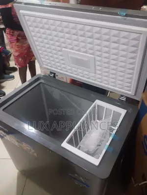 Skyrun BD-155HW 155L Chest Freezer