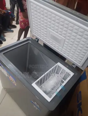 Skyrun BD-155HW 155L Chest Freezer