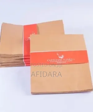FAE Manilla Brown Envelopes (4.3 x 8.7 Inches)