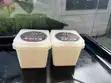 Greek Yogurt - Vanilla Flavor - 2