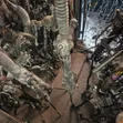 Makinar Hannun Direba na Ford Edge - 4
