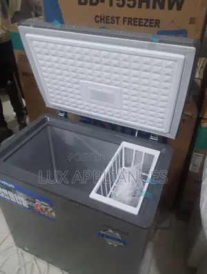 Skyrun BD-155HW 155L Chest Freezer