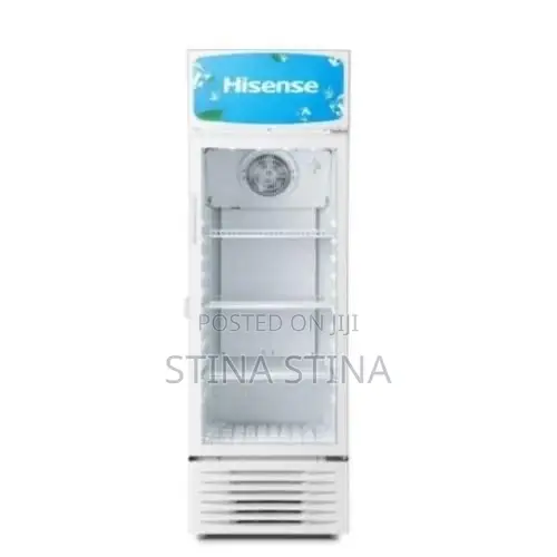 Hisense 251L Chiller - 1
