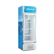 Hisense 251L Chiller - 2