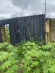 700sqm Residential Land for Sale at Uyeh Estate, Uyo - 2