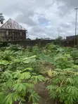 700sqm Residential Land for Sale at Uyeh Estate, Uyo - 5