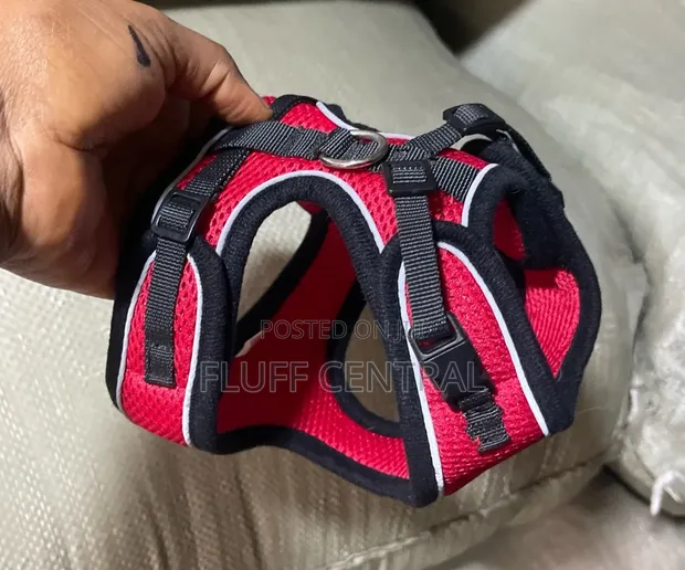 Reflective Mesh Body Jacket Harness - Medium - 1