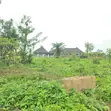 1 Acre Filin Kasuwa a Moniya, Ibadan - 3