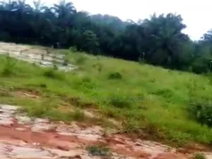 200 Filaye na Sayarwa a Bende LGA, Abia State