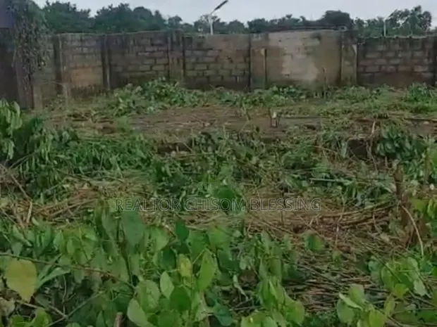 2 Plot na Ƙasa don Siyarwa a Ahia Eke, Umuahia - 1