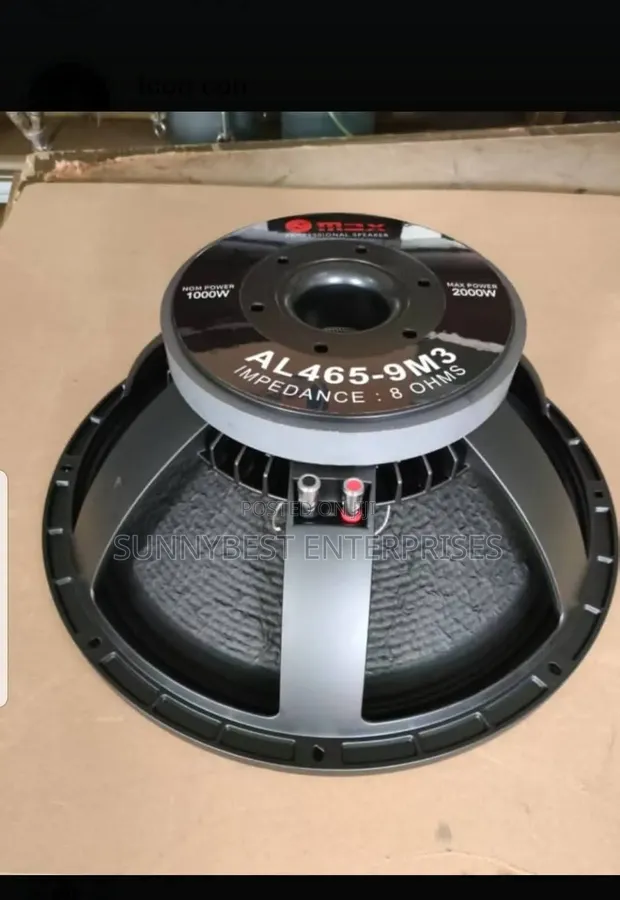 Omax 18-Inch Naked Speaker - 1