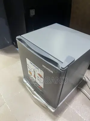Skyrun BCD-50HW 48L Compact Refrigerator