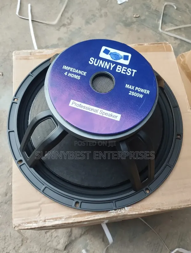 15-Inch Naked Speaker Single Magnet - 1