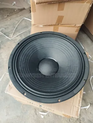 15-Inch Naked Speaker Single Magnet