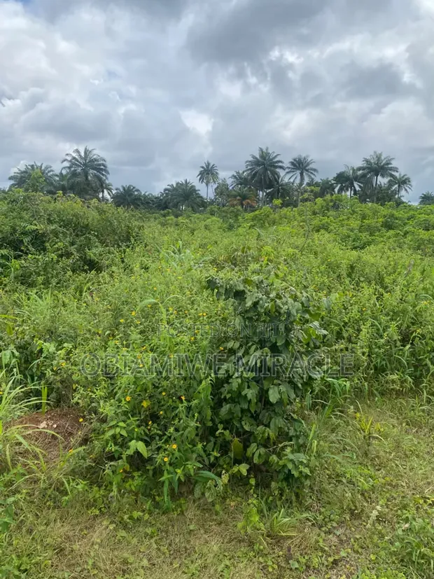 1 Plot of Land - Amaoba Estate, Old Umuahia - 1
