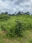1 Plot of Land - Amaoba Estate, Old Umuahia - 1