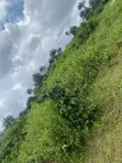 1 Plot of Land - Amaoba Estate, Old Umuahia - 2