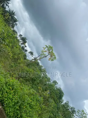 1 Plot of Land - Amaoba Estate, Old Umuahia