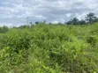 1 Plot of Land - Amaoba Estate, Old Umuahia - 4