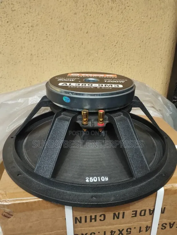 Omax 15-Inch Naked Speaker - 1
