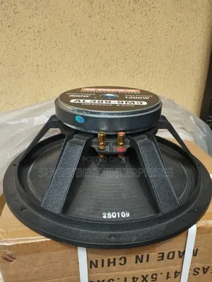 Omax 15-Inch Naked Speaker