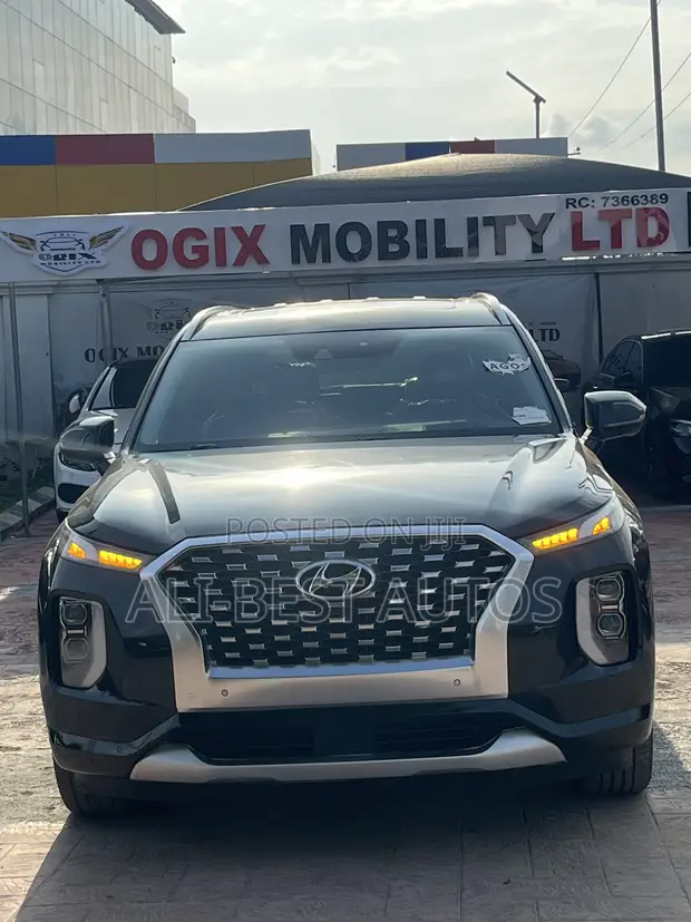 2020 Hyundai Palisade Black - 1