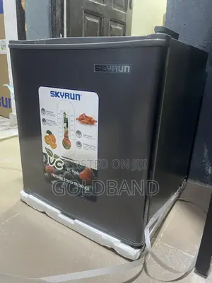 Skyrun 50L Bedside Mini Refrigerator