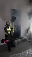 Professional Bed Bug Treatment Service - 1