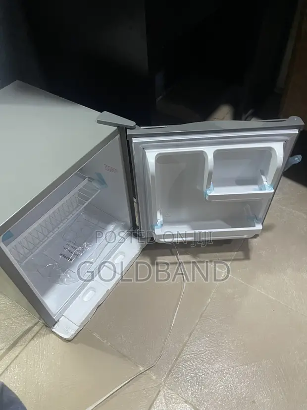 Skyrun BCD-50HW 50L Mini Fridge - 1