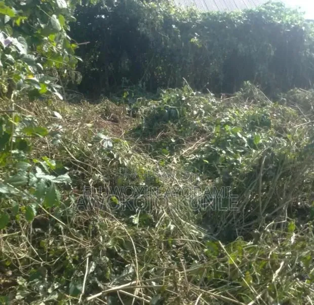 Filin Zama na Siyarwa a Ile-Ife, Jihar Osun - 1