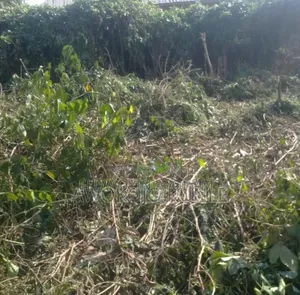 Filin Zama na Siyarwa a Ile-Ife, Jihar Osun
