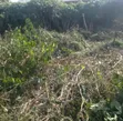 Filin Zama na Siyarwa a Ile-Ife, Jihar Osun - 2